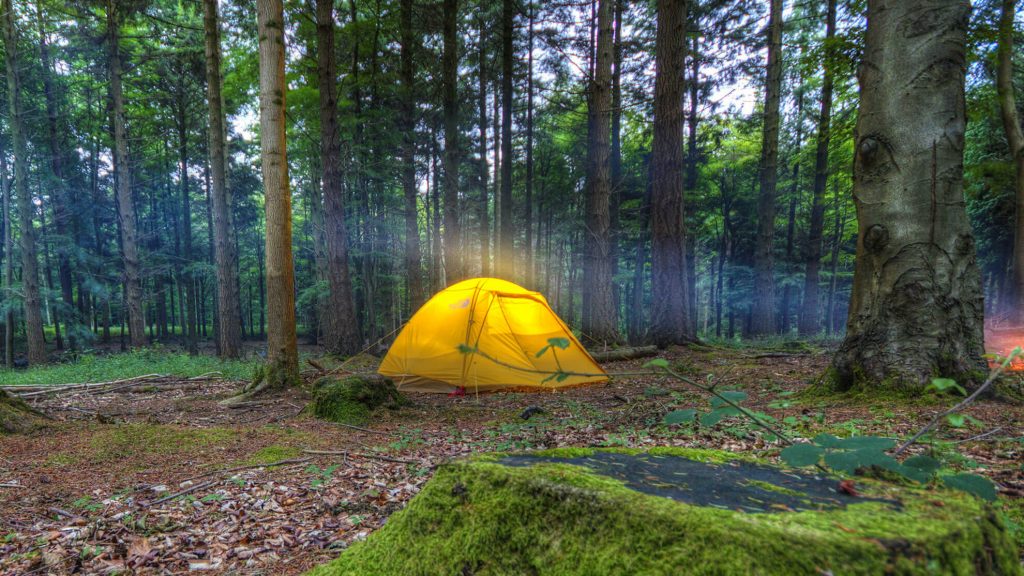 ¿Dónde puedo hacer acampada libre este verano?