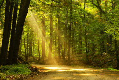 vías verdes para disfrutar de la naturaleza