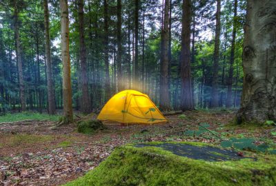 ¿Dónde puedo hacer acampada libre este verano?
