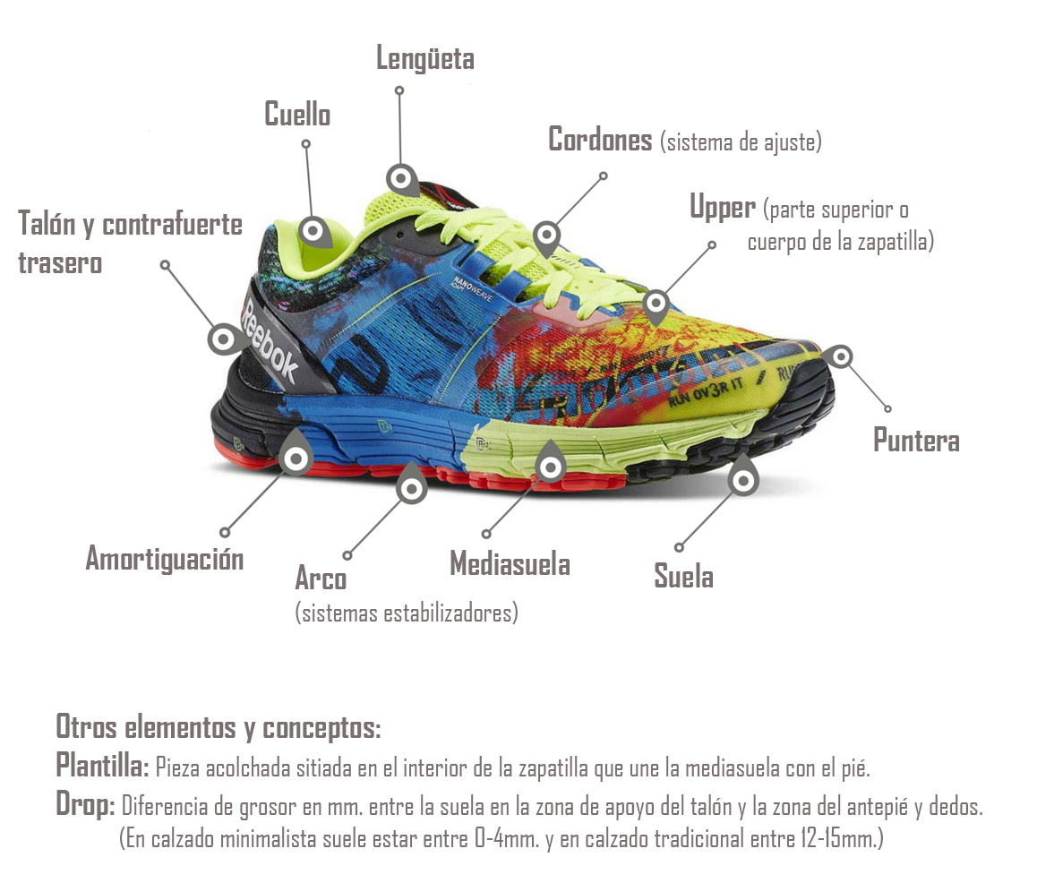 Gobernable Corroer Moda Elementos de una zapatilla de running - Blog de Running de Forum Sport