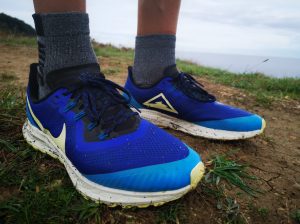 Nike Pegasus 36 Trail